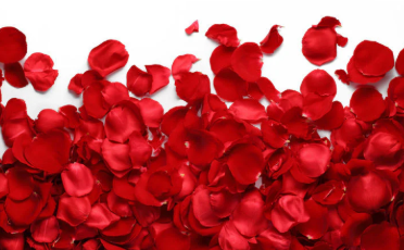 Rose Petal Spa Body-wash